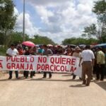 Multas de más de millón y medio de pesos por maltrato animal