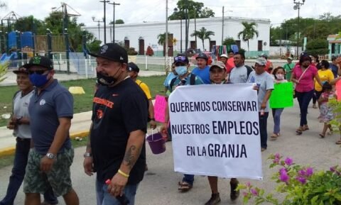 dejaron empleo acusan trabajadores granja