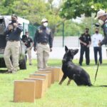 Retroceso en Yucatán