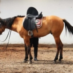 RENÁN BARRERA CONCHA,  3ER AÑO DE ACCIONES DEL GOBIERNO MUNICIPAL 2018-2021