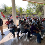Colapsa puente colgante en el parque Porfirio Díaz de Cuernavaca, alcalde y regidores resultan heridos