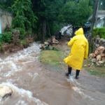 ¡Orgullo nacional! Científica del IPN crea biofármaco con eficacia del 90% para tratar el covid-19
