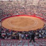 WhatsApp tiene una nueva función, te decimos cómo activarla