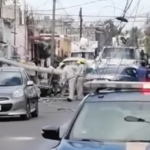 Liberan murciélago real durante función de Batman en sala de cine: VIDEO