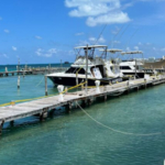 Fiscalía confirma que se acercó a un auto “silueta que se asemeja a Debanhi”