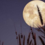 ¿Puede la radiación UV causar cáncer?