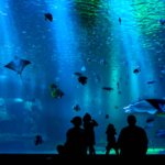 Accidente en el Periférico de Mérida deja tres lesionados