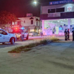 Alertan llegada de langostas en Cancún y Playa del Carmen