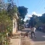 Renán Barrera PAN aventaja en intención de votos en encuesta de Massive Caller