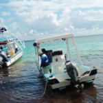 Encuentran restos humanos en contenedores de basura en fraccionamiento de Cancún