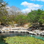 Balean a narcomenudista en Cozumel