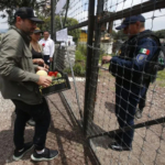 Consulado confirma muerte de segundo mexicano tras tiroteo en Illinois