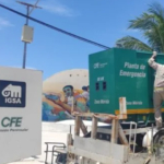 Encuentran boa en predio de Progreso