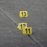 Macabro Descubrimiento en Residencial Pensiones: Perro Hallado sin Vida y Herido en Calles Mérida