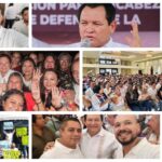 Propiedades y beneficios del Tomillo