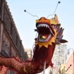 “Ecologistas Acusan a AMLO de Mentir: El Tren Maya Causa Graves Daños Ambientales en la Península de Yucatán”