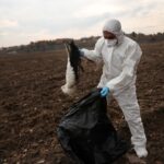 Año nuevo, mente nueva: cómo iniciar un proceso de cambio real