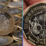 Alertan riesgo ambiental y estructural en el Tramo 5 Sur del Tren Maya por daños detectados en pilotes