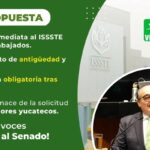 Alertan riesgo ambiental y estructural en el Tramo 5 Sur del Tren Maya por daños detectados en pilotes