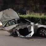 Impulsa Gobierno de Yucatán reforestación escolar con programa “Renacimiento Verde en tu Escuela”