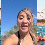 Rescatan 192 iguanas verdes transportadas ilegalmente en autobús en Oaxaca