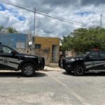 Polémica en redes por video que altera hábitat de flamingos