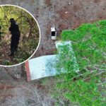 Hospital de la Amistad COREA-MÉXICO opera con normalidad; analizan su integración al IMSS-BIENESTAR