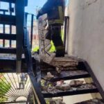 Resguardan y devuelven a su entorno natural a dos zarigüeyas halladas en viviendas de Tizimín