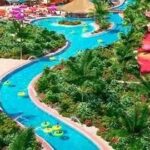 Salud emite alertas por calor extremo, hantavirus y ébola en México