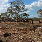 SSP mantiene activas 102 compañías de seguridad privada en Yucatán