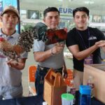 Aumentan casos de VIH en Yucatán; reportan 222 contagios acumulados en 2026
