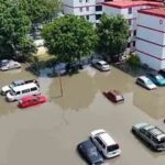 Comerciantes cuestionan falta de limpieza de sargazo en playas de San Crisanto al inicio del periodo vacacional