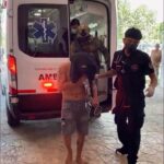 Max, el rescatista de cuatro patas que salvó vidas en Venezuela y volvió herido a México