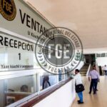 Aseguran más de 10 escopetas y carne de venado y jabalí durante operativo en Ticul