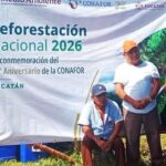 Obesidad infantil se dispara en Yucatán; casos ya superan el total registrado en 2025