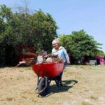 Profepa clausura obras de empresa en Ciudad del Carmen y aplica multa superior a 234 mil pesos