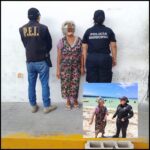 Hallan en Celestún un tiburón martillo mutilado; pescadores creen que fue atacado por un depredador de mayor tamaño