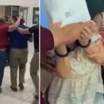 Hallan en Celestún un tiburón martillo mutilado; pescadores creen que fue atacado por un depredador de mayor tamaño