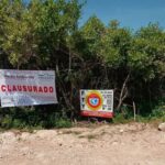 Investigan presunto envenenamiento masivo de perros en colonia de Mérida; vecinos piden castigo a responsables