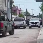 Rescatan en Chiapas a mono saraguato que habría sido víctima del tráfico ilegal de fauna