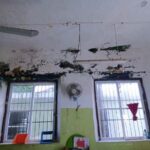 Aumentan las enfermedades respiratorias en Yucatán; piden reforzar medidas de prevención