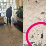 Denuncian falta de mantenimiento a vehículos médicos en Dzilam González; unidad termina en el Palacio Municipal