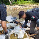 Señalan contratación de presunto deudor alimentario en la Feria de Xmatkuil; cuestionan a Tito Basulto